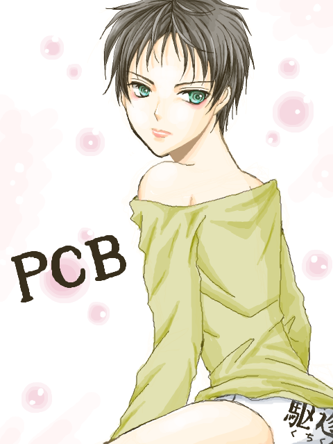 PCB2
