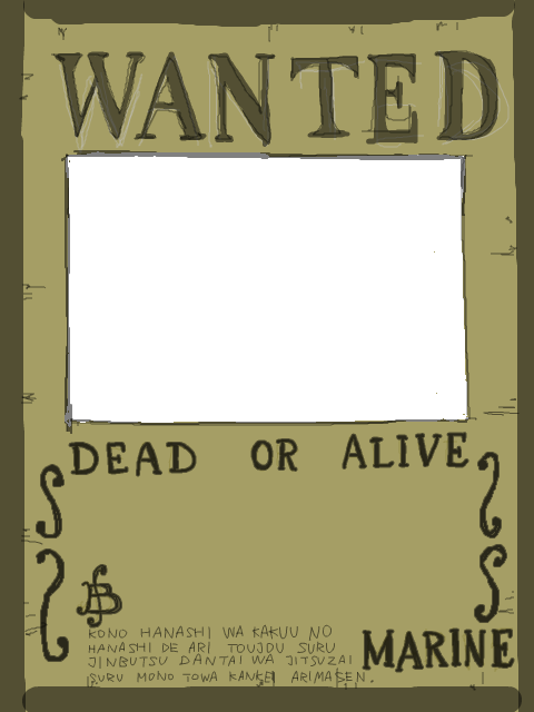 ONE PIECE-WANTED