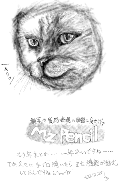 【ラクガキ】MzPencilキャンバスでネコヅラ模写