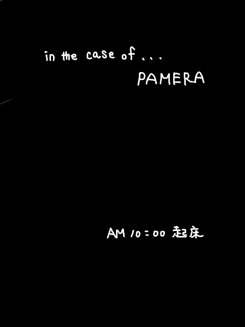 【LC】in the case of PAMERA