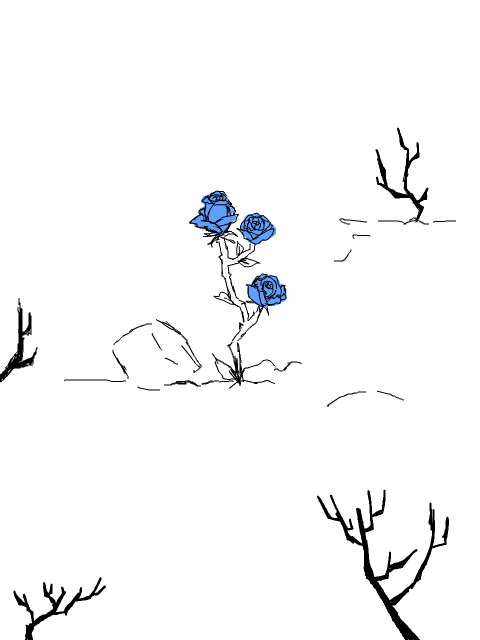 野に咲く青い薔薇