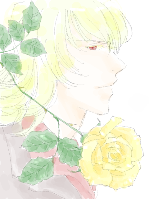 黄薔薇。